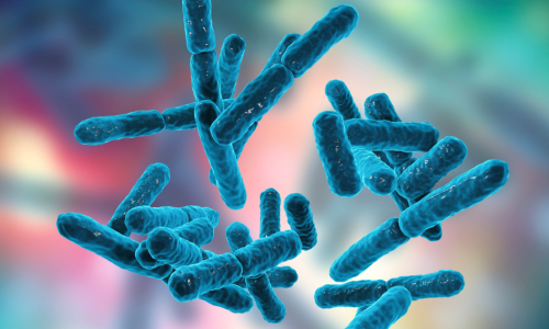 9 HEALTH BENEFITS OF LACTOBACILLUS ACIDOPHILUS