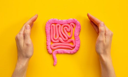 WHICH PRODUCT CAN HELP PREVENT BOTH DIARRHEA AND CONSTIPATION?