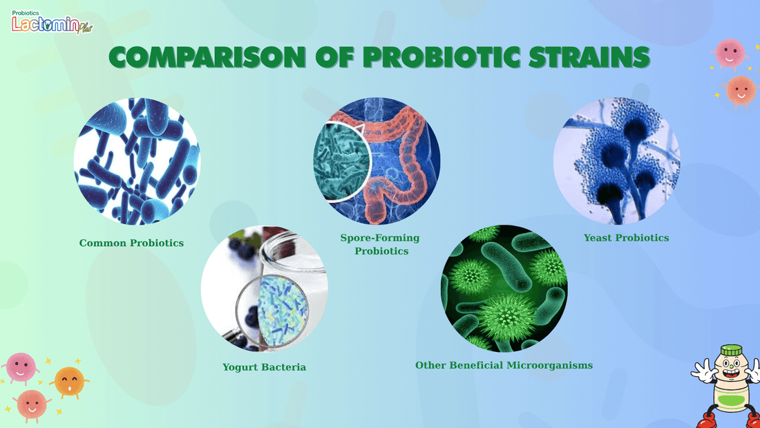 COMPARISON OF PROBIOTIC STRAINS
